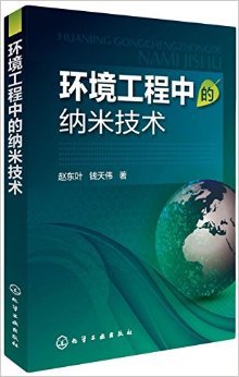 《环境工程中的纳米技术》 赵东叶, 钱天伟【摘要 书评 试读】图书